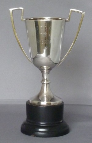 The Brenda Cup.  Best Pot Plant
