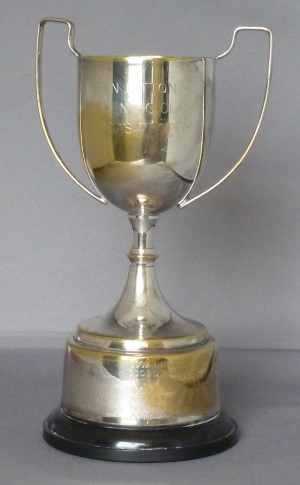 Camgas Cup.  Best Domestic Entry